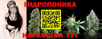 МДПВ Партизанск