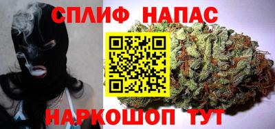 МДПВ Партизанск