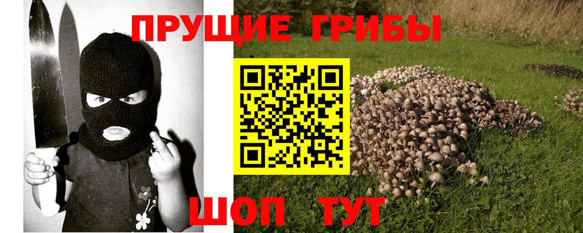 Псилоцибиновые грибы мицелий Россошь