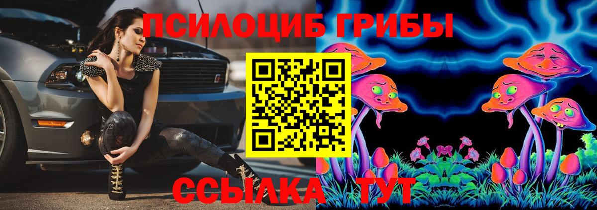Россошь  Псилоцибиновые грибы ЛСД  Вход с VPN 