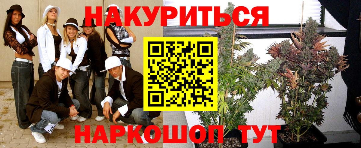 Каннабис план  Шишки марихуана SATIVA & INDICA  Вход с VPN  Россошь  Бошки марихуана THC 21% 
